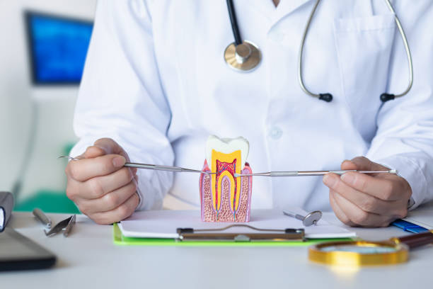 Best Emergency Dental Care for Abscessed Tooth in Magnolia, AR